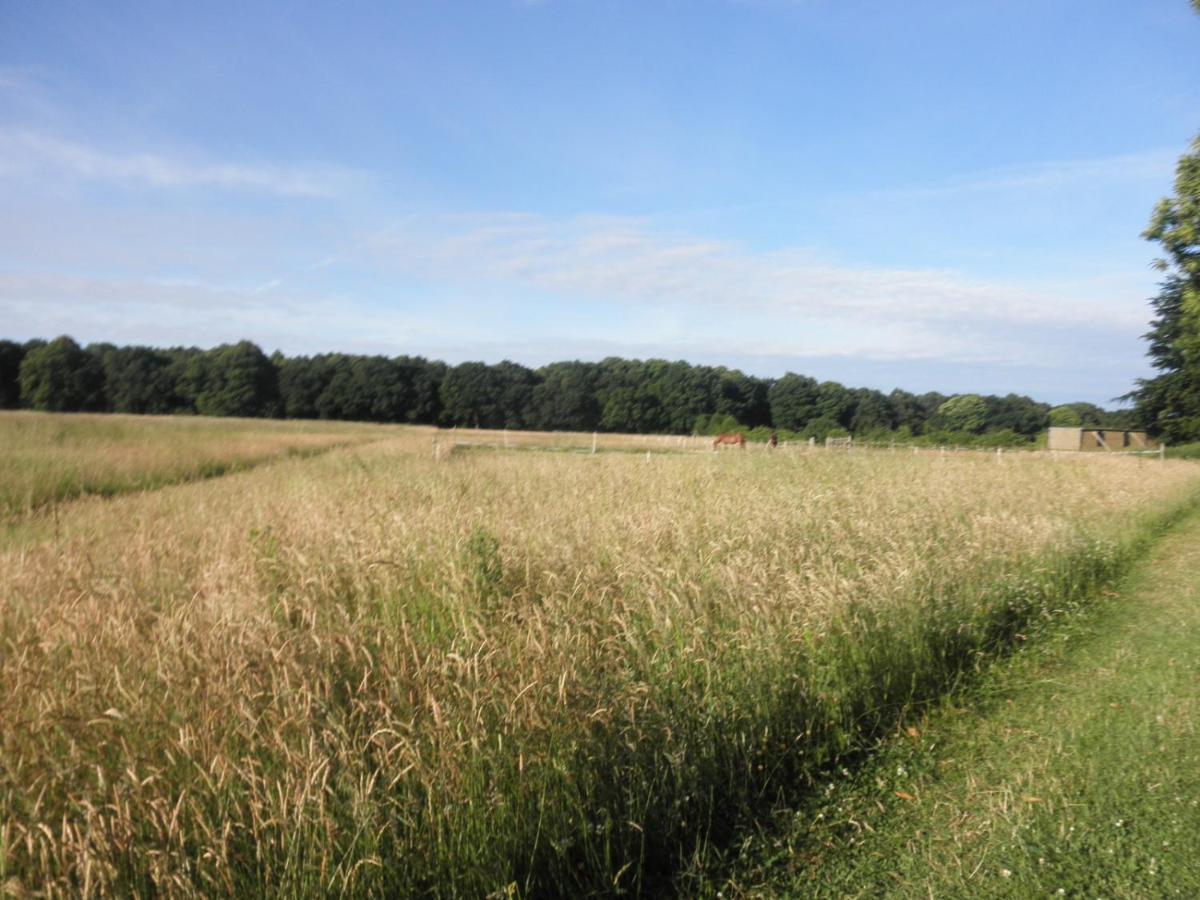 Bed and Breakfast Clumber Lane End Farm Вёксоп Экстерьер фото