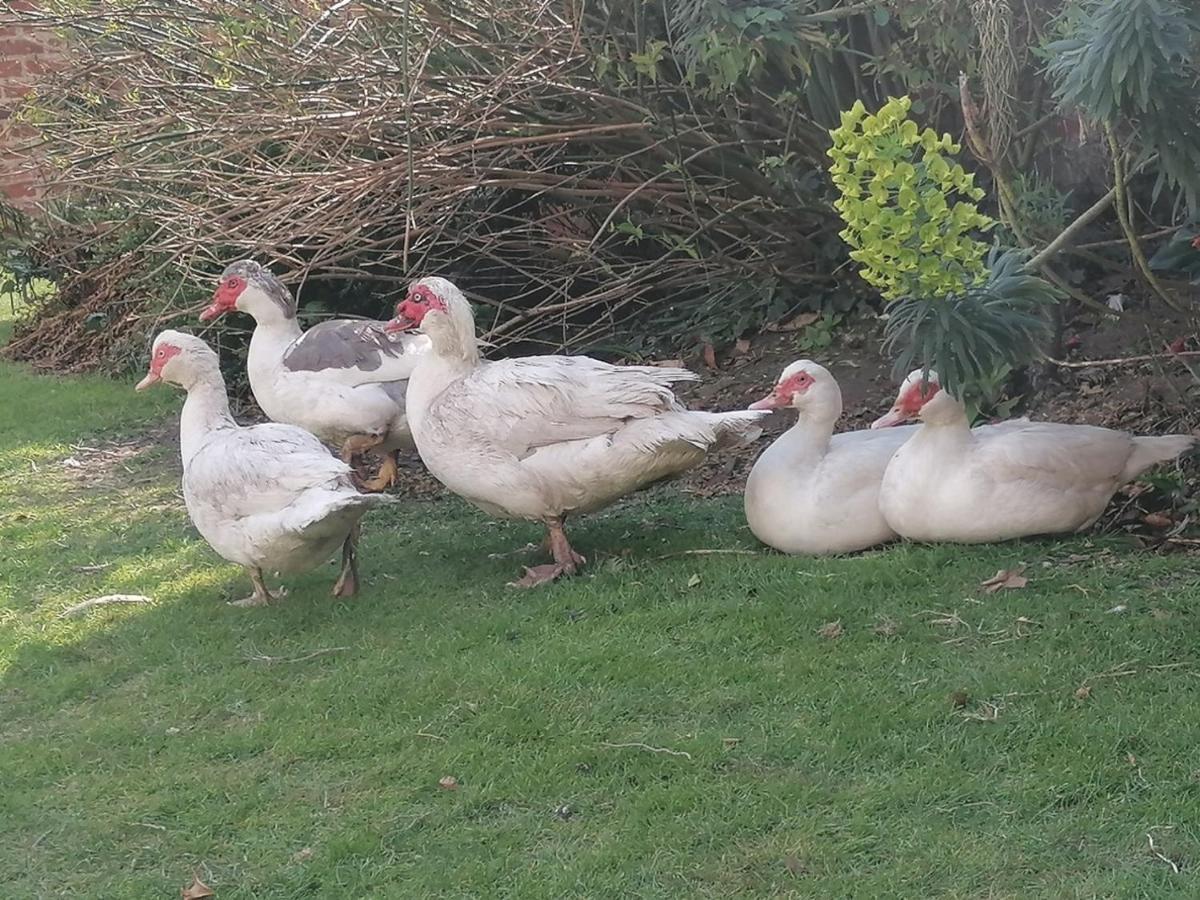 Bed and Breakfast Clumber Lane End Farm Вёксоп Экстерьер фото