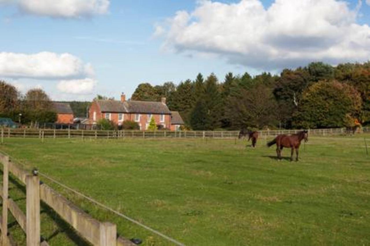 Bed and Breakfast Clumber Lane End Farm Вёксоп Экстерьер фото